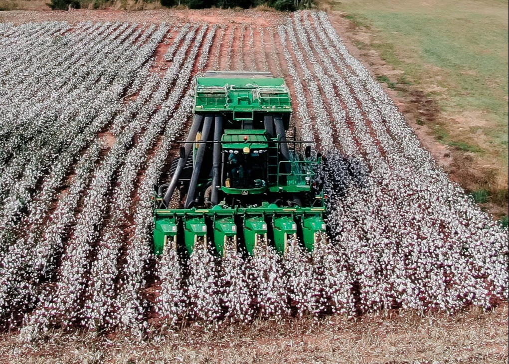 Tractor on crop field